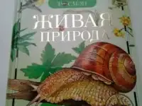 Книги для детей