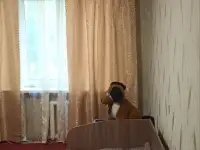 Сдается 2-х комнатная квартира в Луганске, пЮбилейный, фотография 2