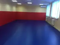 Борцовский ковер, стеновые протекторы, маты..., фотография 3