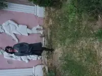 Ищу работу