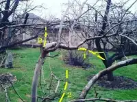 Предлагаю вам сделать ваш участок! Участком вашей мечты!, фотография 2