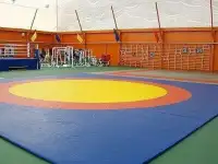 Борцовский ковер