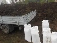 Перегной