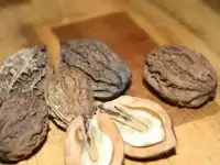 Продам 2--хлетние саженцы маньчжурского ореха