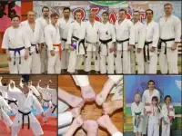 Открыт набор в секцию каратэ Фудокан., фотография 9