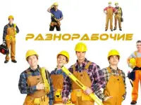Разнорабочие