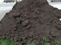 Чернозем, плодородный грунт под посадки