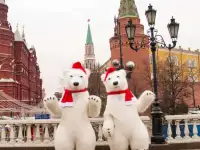 Аэро Мишка - 3х метровый сюрприз!, фотография 11