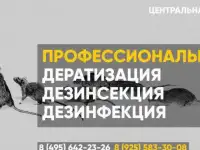 Дезинсекция уничтожение ос и осиных гнезд Томилино