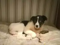 Спасённый в поле  мальчишка ищет дом