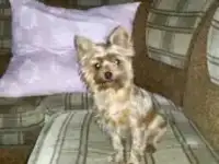 Ищем 