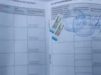 аргентинский дог, фотография 9