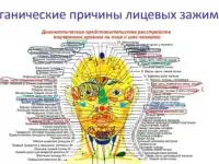 глубокий массаж лица, фотография 2