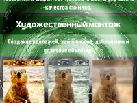 Ваш универсальный союзник. Помогу вам и вашему бизнесу., фотография 9