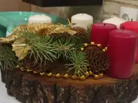 Спилы дерева