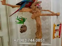 Клетки, насесты, корма,  витамины для попугаев из Европы, фотография 5
