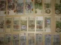 Банкноты!!!