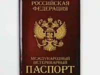 Обложки на ветпаспорт