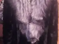 Шуба