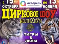 Цирк шапито 