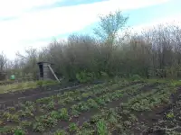 Продам дачу срочно 40,00 м2, фотография 2