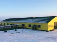 Строительство коровников на 50 голов КРС привязного содержания