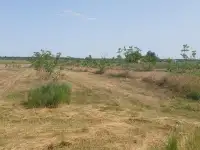 Земельный Участок, с.Македоновка.Володарский м.о.