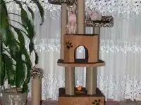 домики для кошек и собак