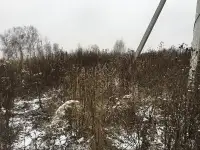 Земельный участок, площадь 53900 кв.м. г Москва, вн.тер.г. поселение Первомайское