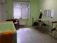 Стрижки и уход за животными