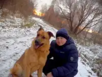 Собака.