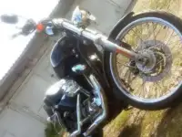 Harley-Davidson Sportster XL1200 Custom