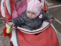 Коляска 2 в 1 плюс меховой конверт  