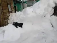 Уборка чистка снега
