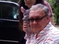 Курьер в Москве для г.Тула