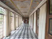 Такой удивительный Петергоф, фотография 4