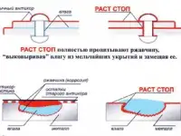 РАСТ СТОП 