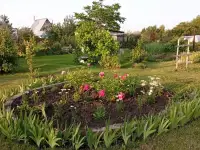Продажа дачи с участком! срочно, Самарская обл., Ставропольский р-н, сельское поселение Нижнее Санчелеево, СНТ Зе 70,00 м2, фотография 7