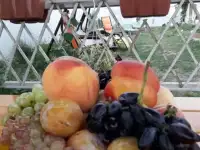 Отдых на море в Голубицкой, фотография 12