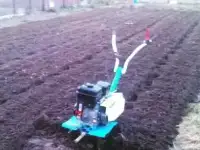 Предлагаю вам сделать ваш участок! Участком вашей мечты!, фотография 4
