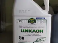 Циклон Инсектицид