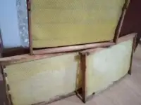 Пчелы
