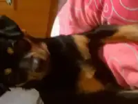 Вязка