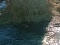 Продаю сено в рулонах.