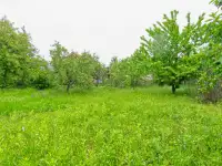 Уютный кирпичный дом с садом в тихом пригороде Краснодара 35,00 м2, фотография 5
