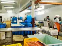 Пищевое производство 560м2. Прибыль 1.000.000рмес