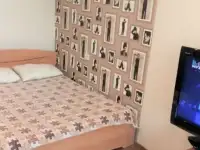 Тульская шаболовская посуточно