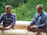 Сруб для дома и бани ручной работы от 35 000 руб.