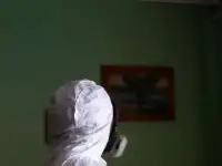 Избавление от мышей.