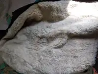 шубы, фотография 4